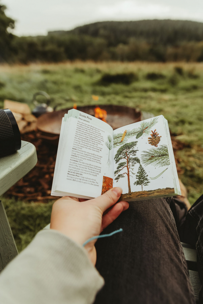 Fire Pit in Cropton Forest